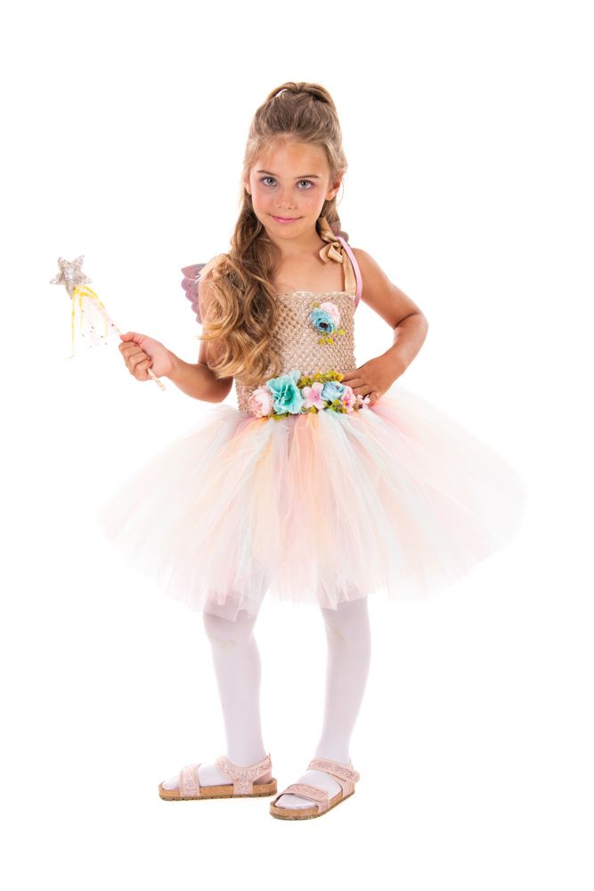 Αποκριάτικη Στολή Ginger Fairy photo